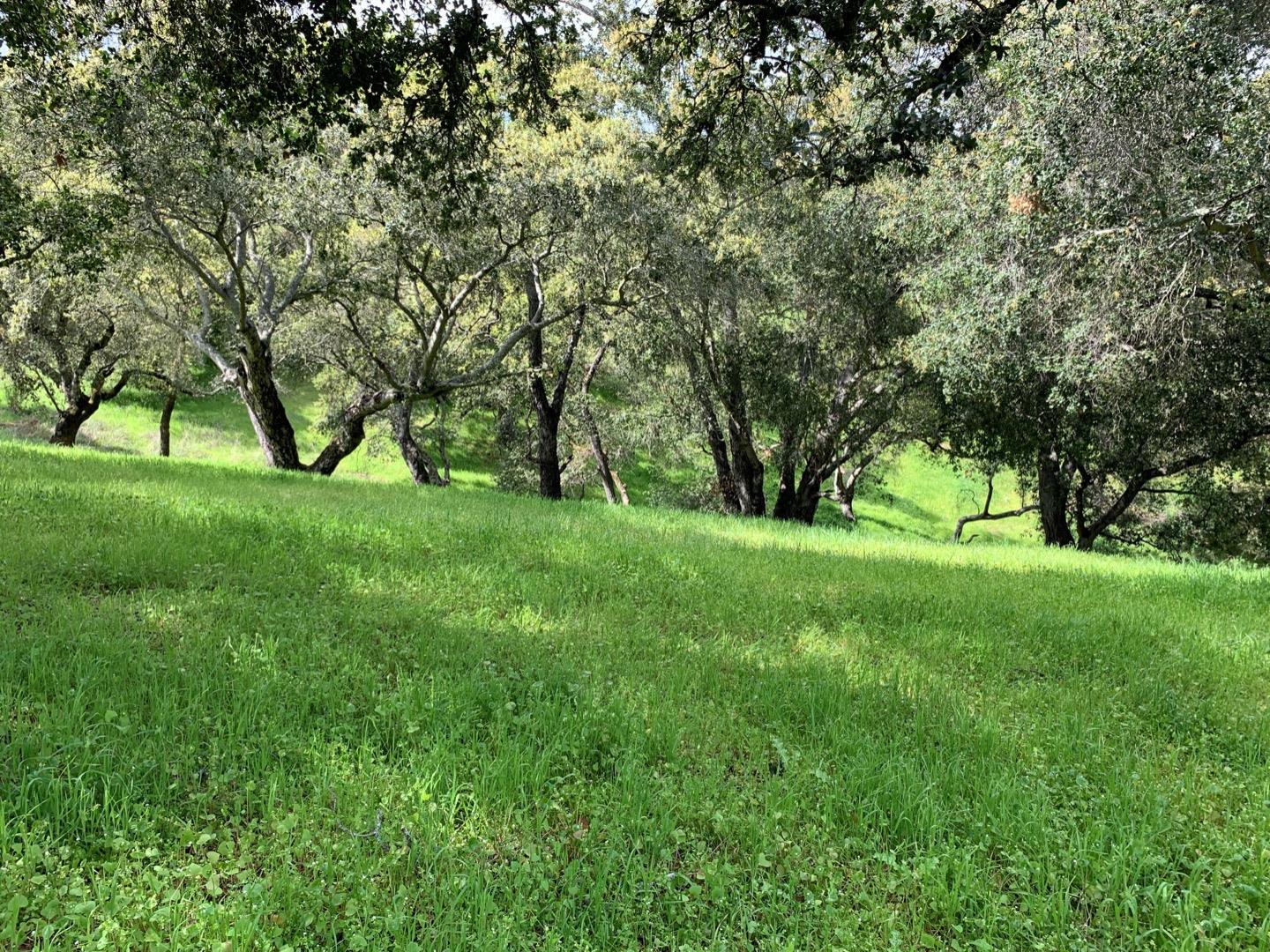 2204 Banyon Court, GILROY, California 95020, ,Lots And Land,For Sale,Banyon Court,40963481
