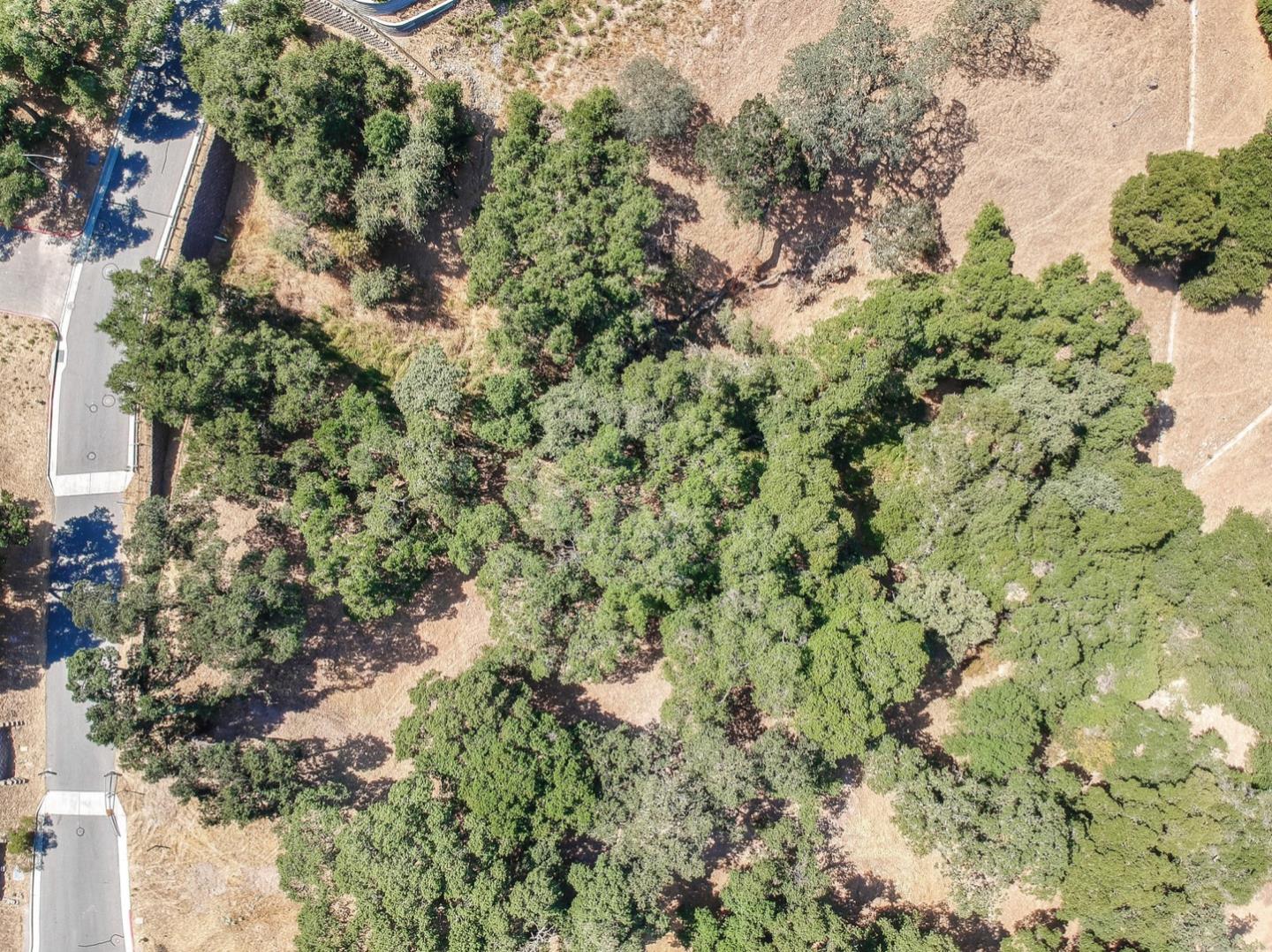 2204 Banyon Court, GILROY, California 95020, ,Lots And Land,For Sale,Banyon Court,40963481