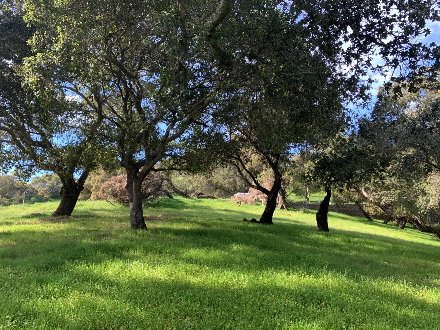 2204 Banyon Court, GILROY, California 95020, ,Lots And Land,For Sale,Banyon Court,40963481