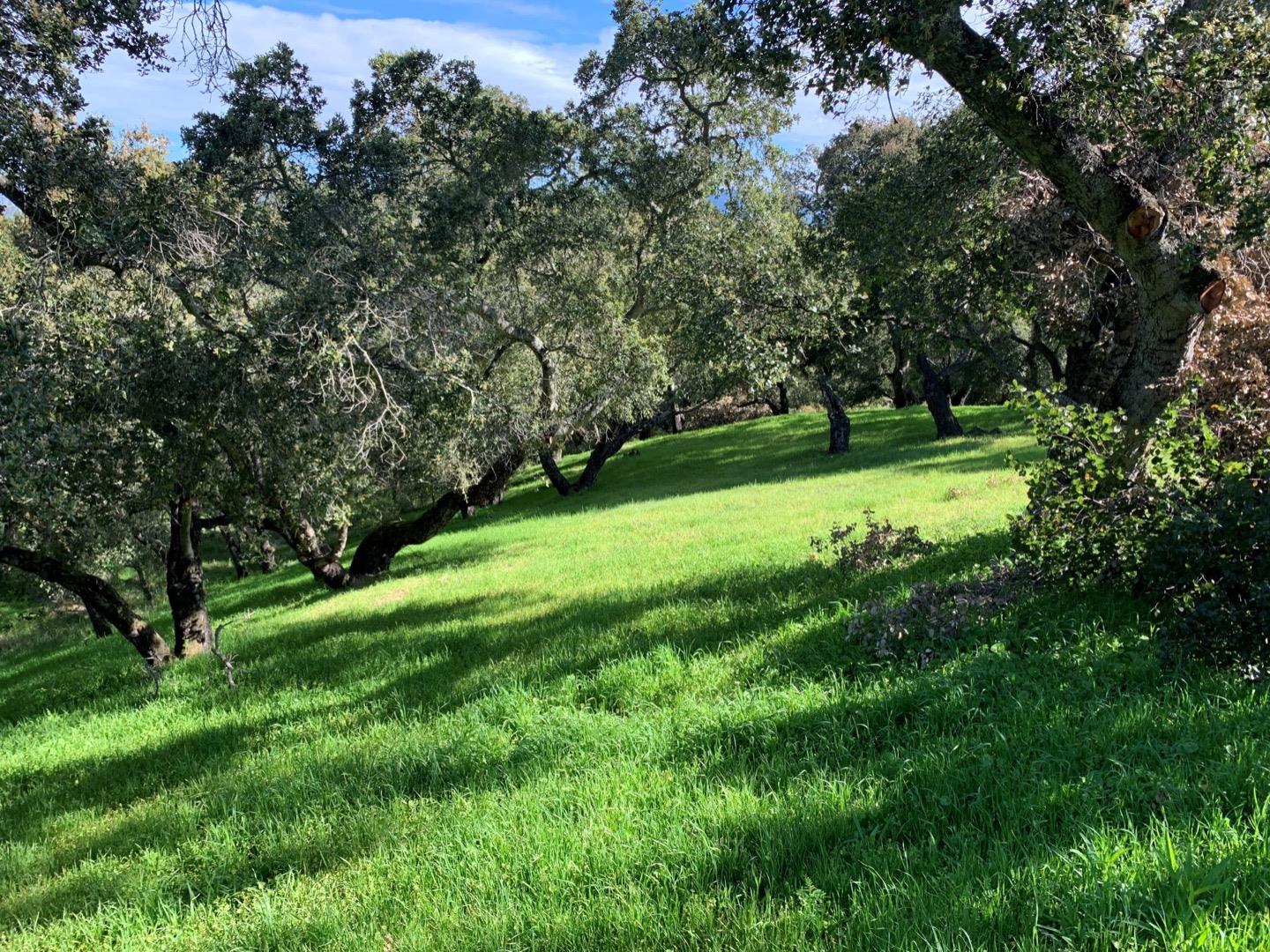 2204 Banyon Court, GILROY, California 95020, ,Lots And Land,For Sale,Banyon Court,40963481