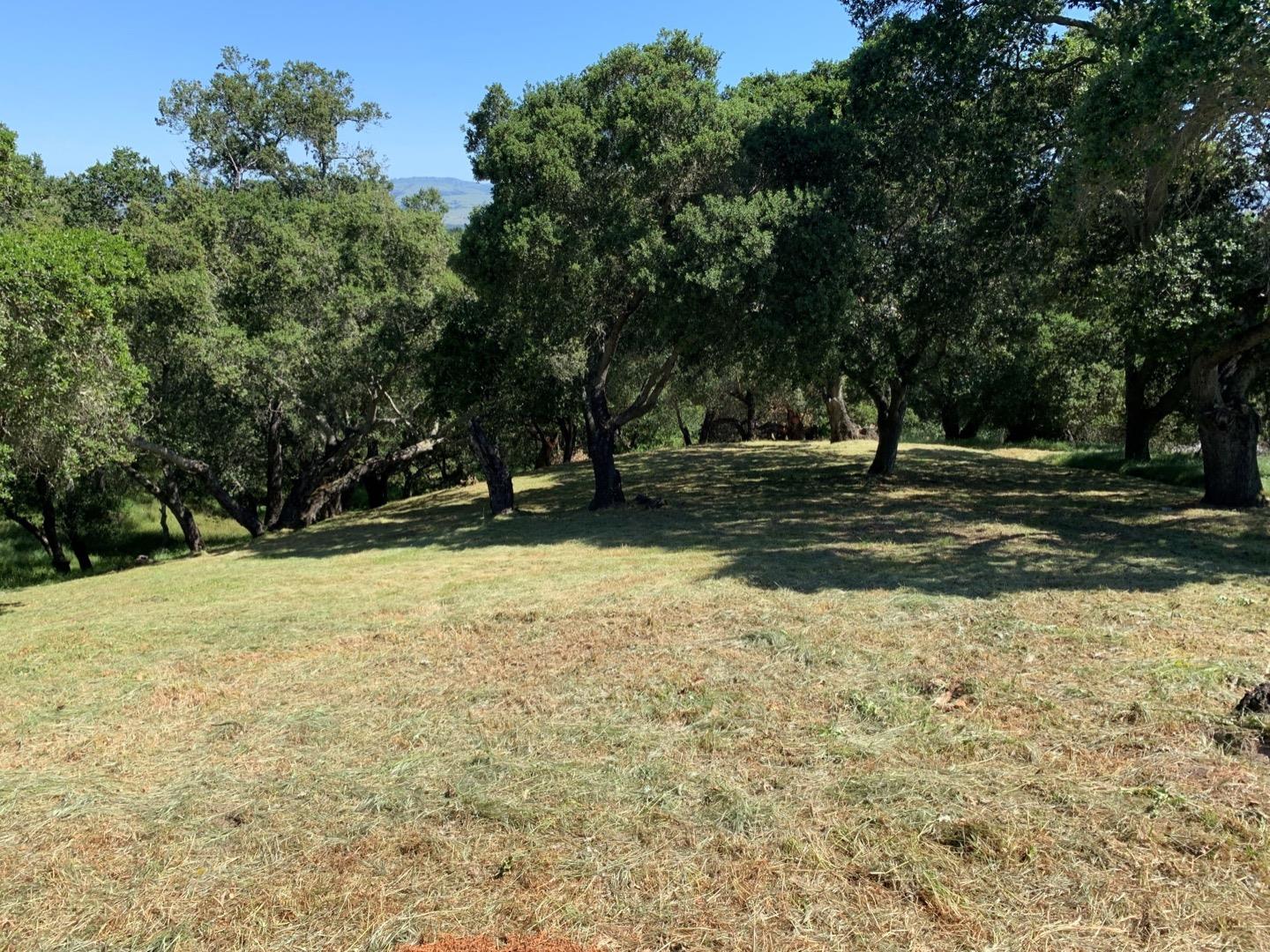 2204 Banyon Court, GILROY, California 95020, ,Lots And Land,For Sale,Banyon Court,40963481