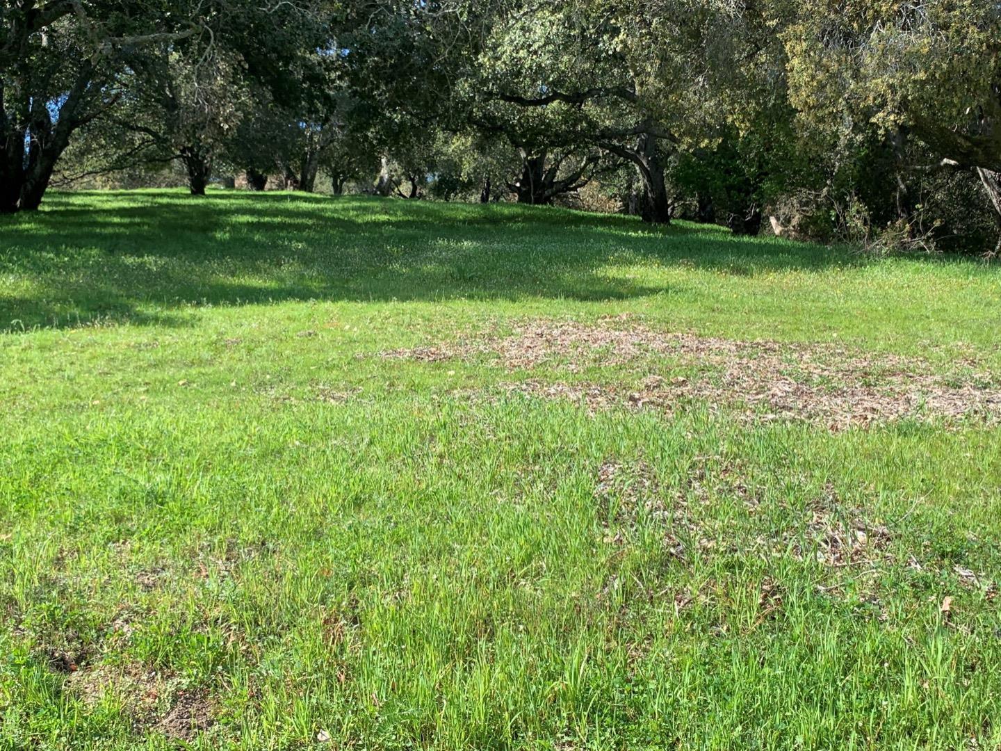 2204 Banyon Court, GILROY, California 95020, ,Lots And Land,For Sale,Banyon Court,40963481