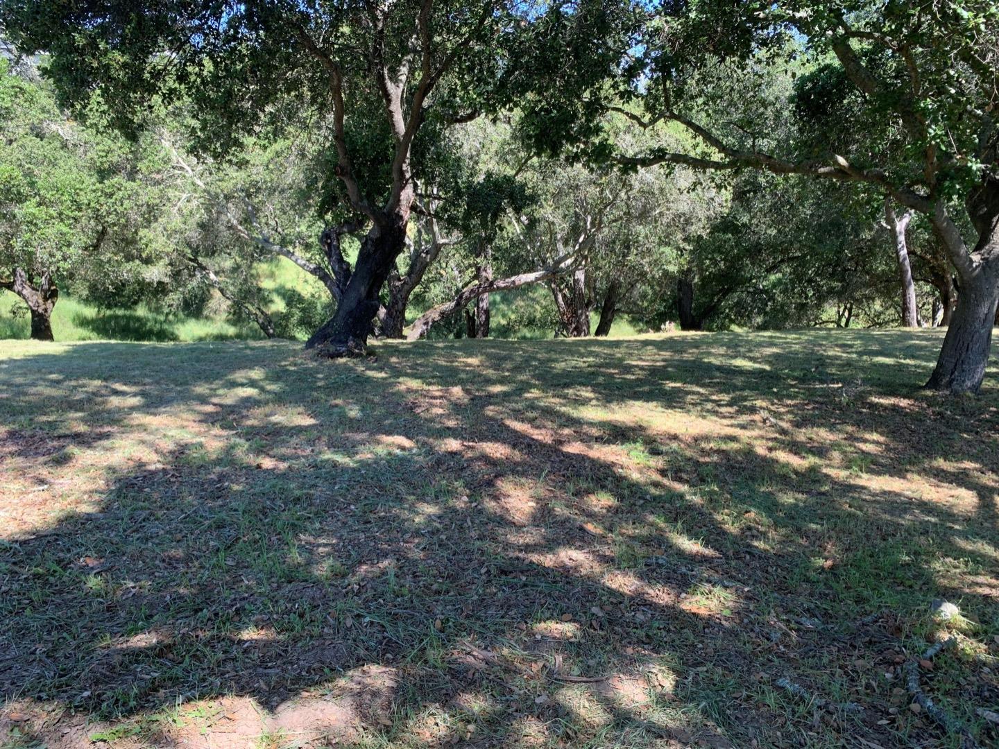 2204 Banyon Court, GILROY, California 95020, ,Lots And Land,For Sale,Banyon Court,40963481