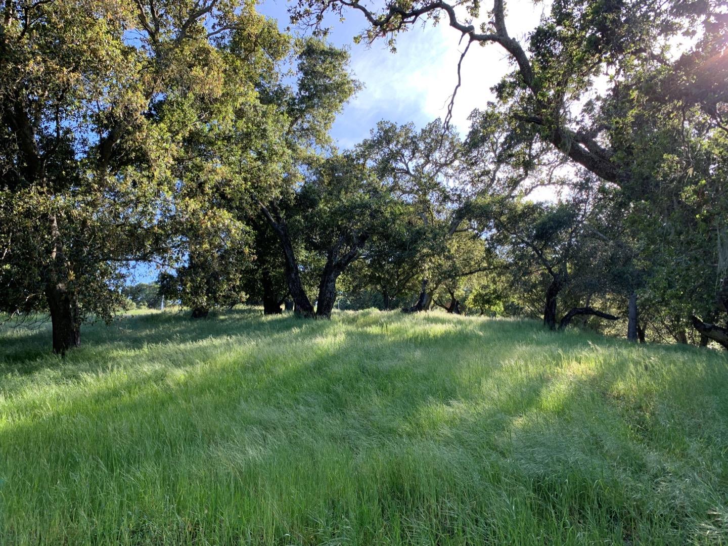 2204 Banyon Court, GILROY, California 95020, ,Lots And Land,For Sale,Banyon Court,40963481