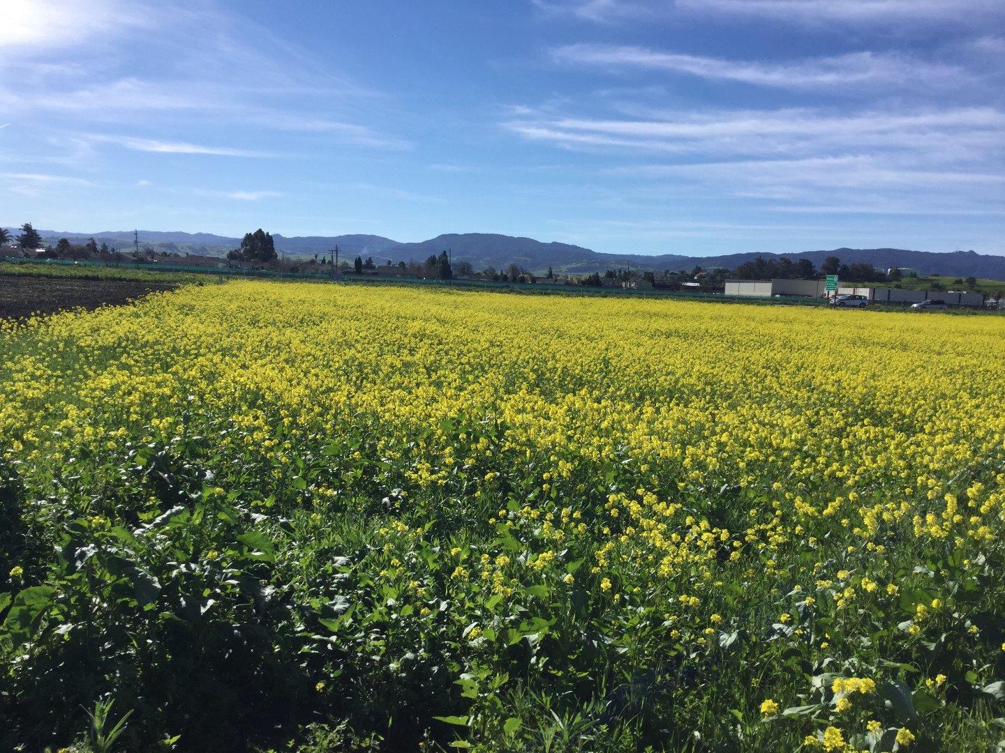 860 Chappell Road, HOLLISTER, California 95023, ,Comm Lots And Land,For Sale,Chappell Road,40964024