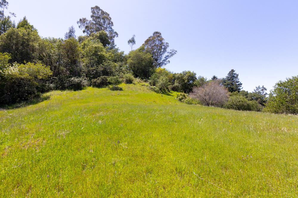 104 Happy Valley Way, SANTA CRUZ, California 95065, ,Lots And Land,For Sale,Happy Valley Way,40963702