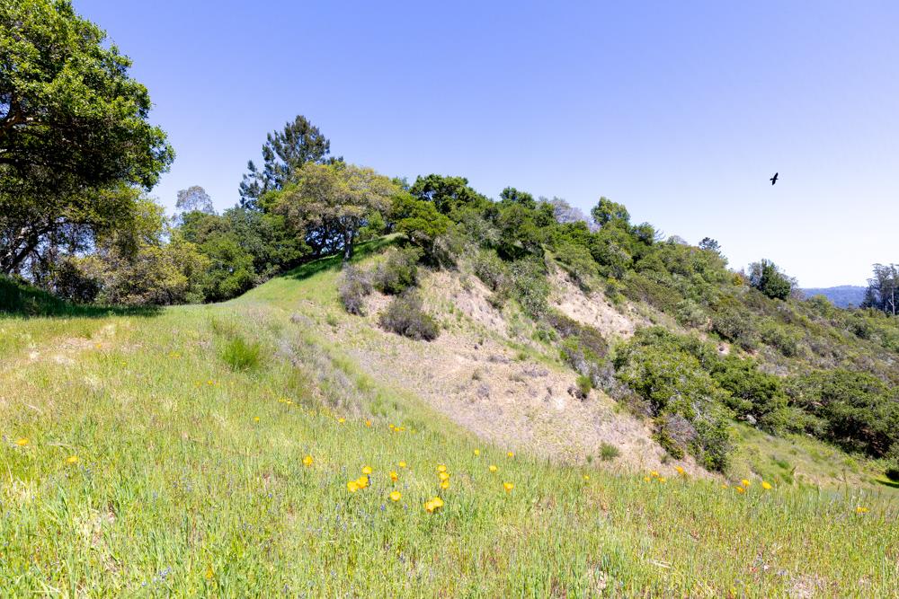 104 Happy Valley Way, SANTA CRUZ, California 95065, ,Lots And Land,For Sale,Happy Valley Way,40963702