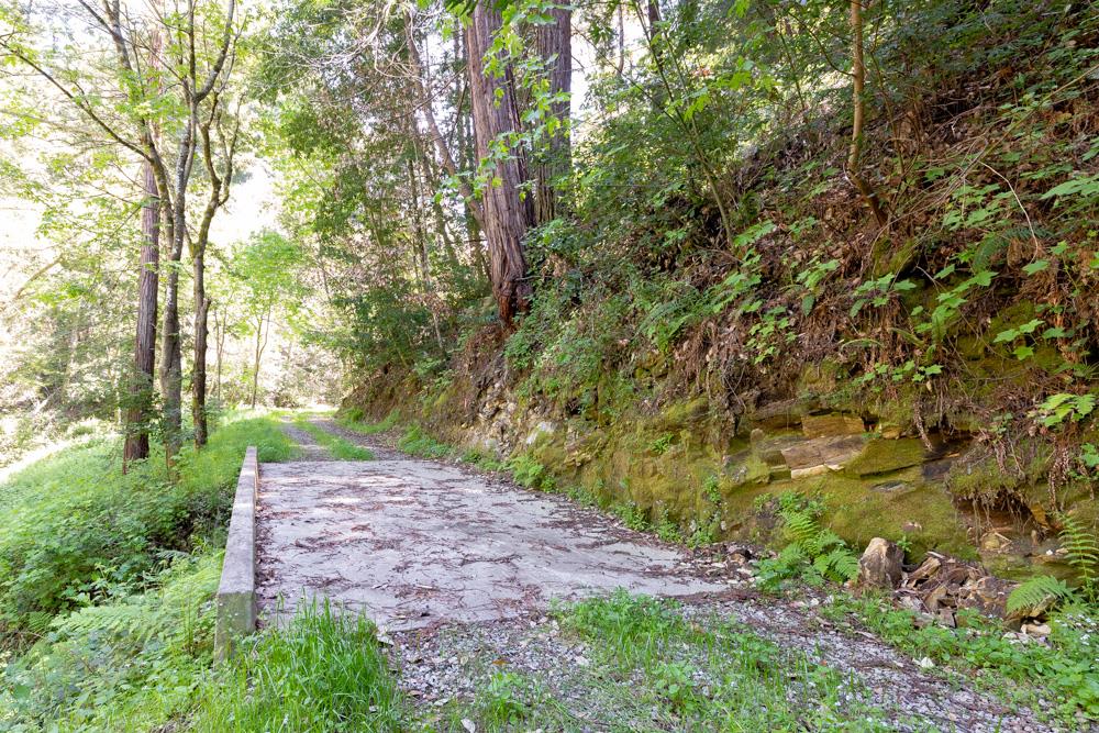 104 Happy Valley Way, SANTA CRUZ, California 95065, ,Lots And Land,For Sale,Happy Valley Way,40963702