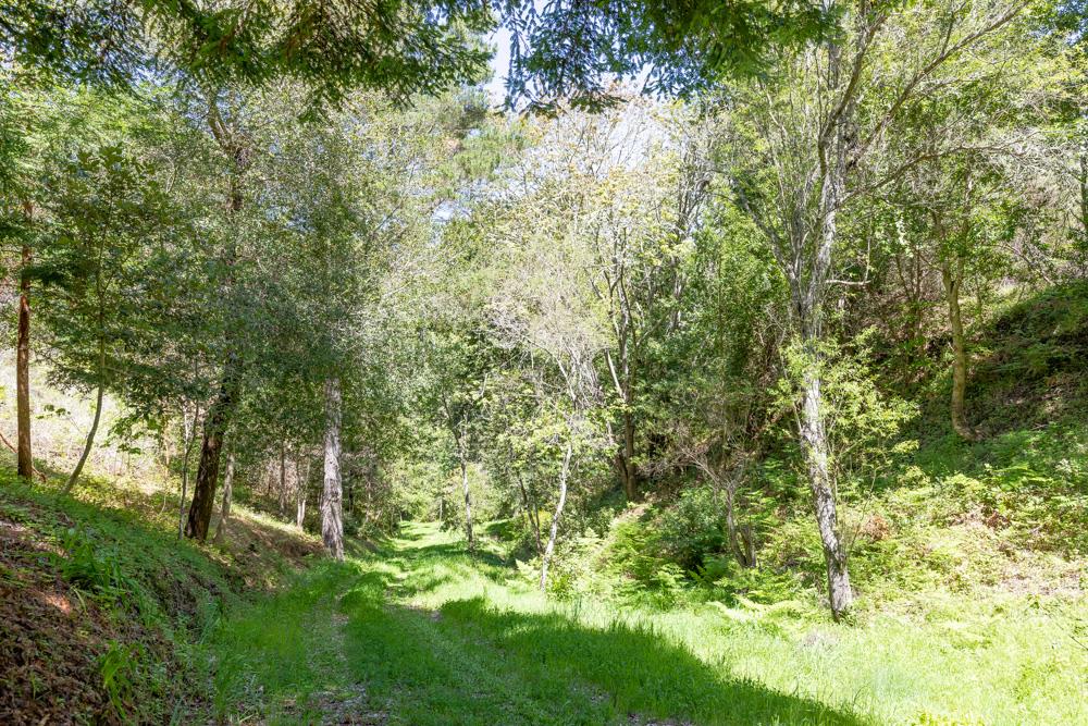 104 Happy Valley Way, SANTA CRUZ, California 95065, ,Lots And Land,For Sale,Happy Valley Way,40963702