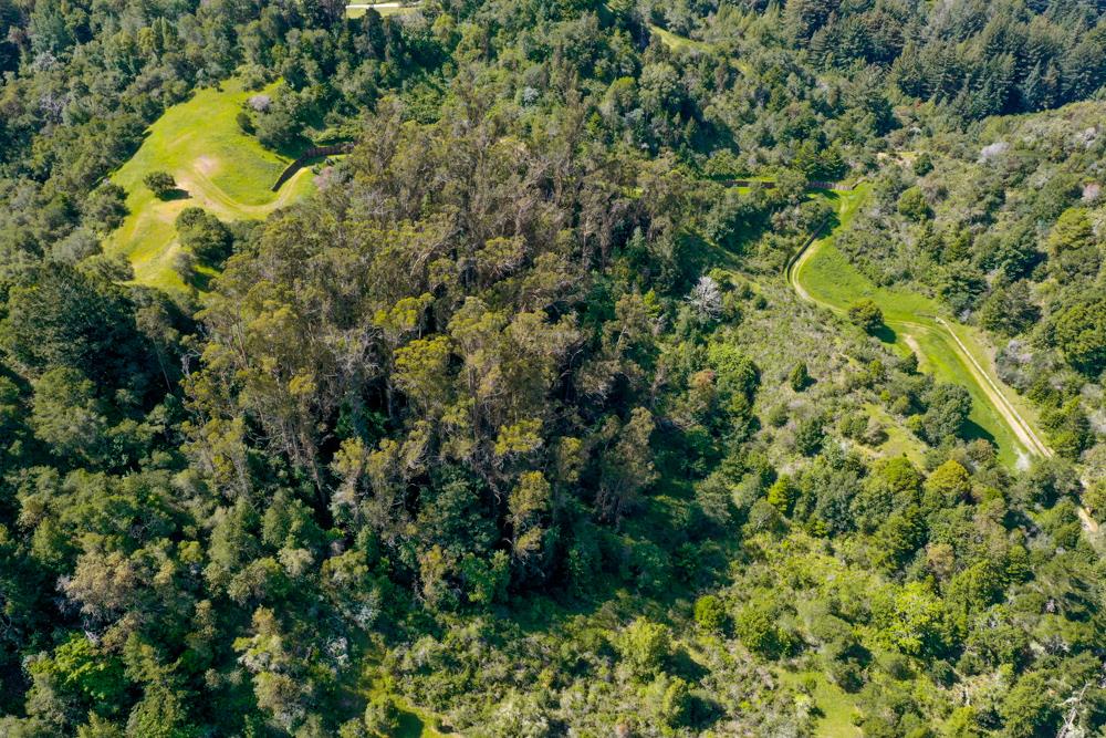 104 Happy Valley Way, SANTA CRUZ, California 95065, ,Lots And Land,For Sale,Happy Valley Way,40963702