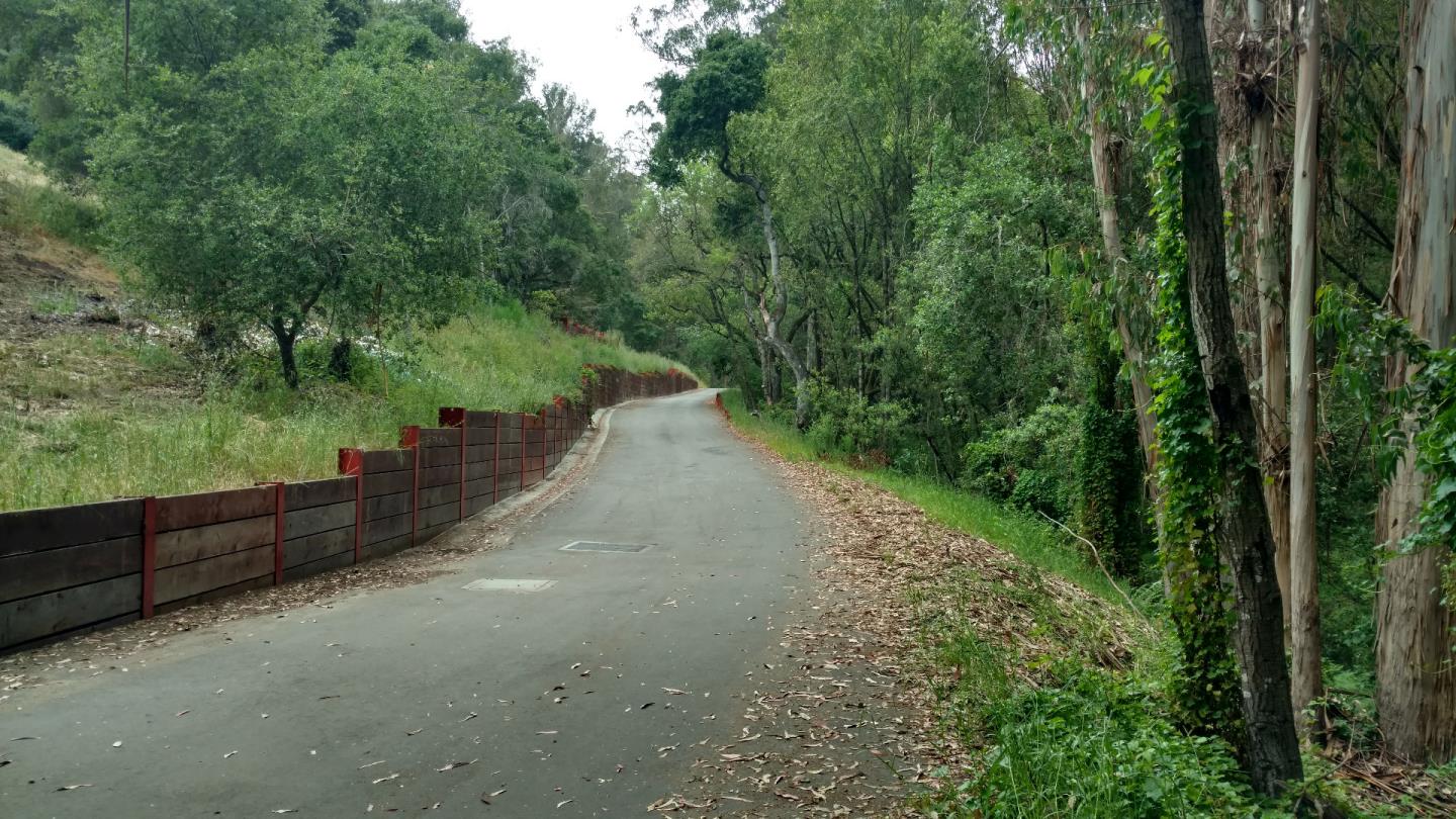 0 Lupine Lane, SANTA CRUZ, California 95065, ,Lots And Land,For Sale,Lupine Lane,40962494