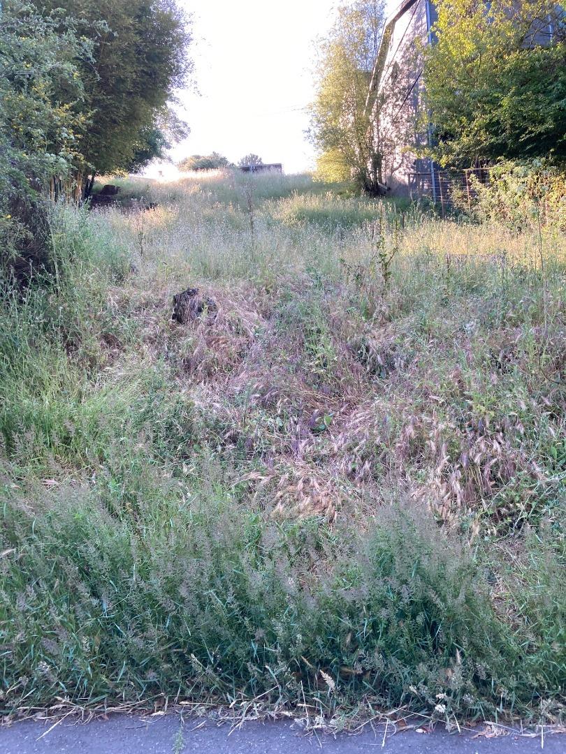 1436 Campus Drive, BERKELEY, California 94708, ,Lots And Land,For Sale,Campus Drive,40961898