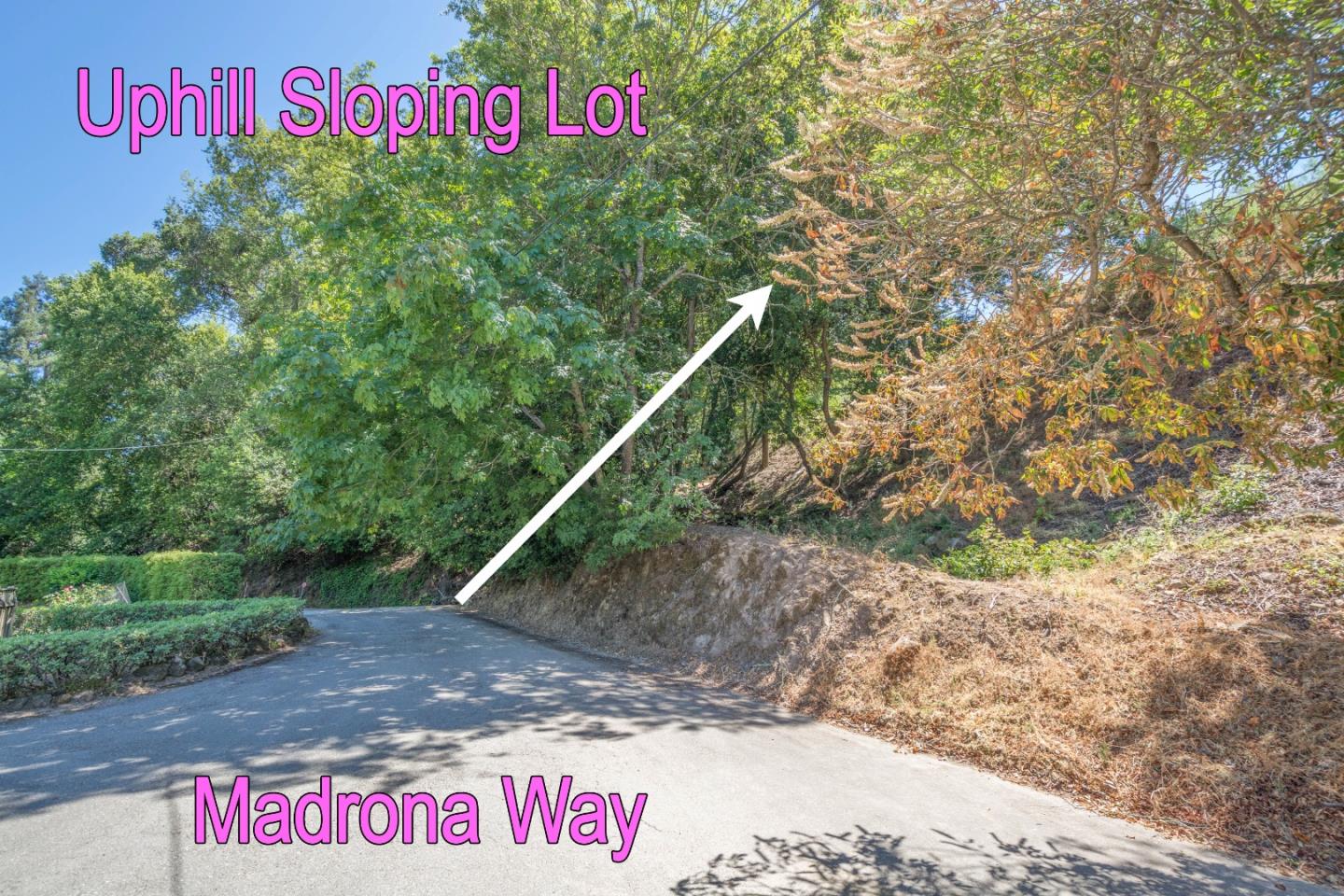 20402 Santa Cruz Highway, LOS GATOS, California 95033, ,Lots And Land,For Sale,Santa Cruz Highway,40964592