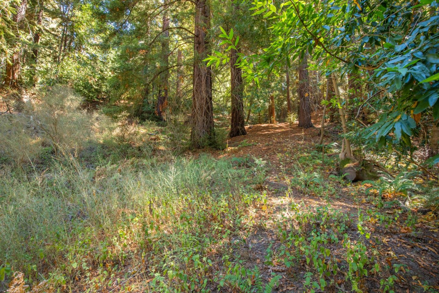 0 Main Boulevard, LOS GATOS, California 95033, ,Lots And Land,For Sale,Main Boulevard,40975862