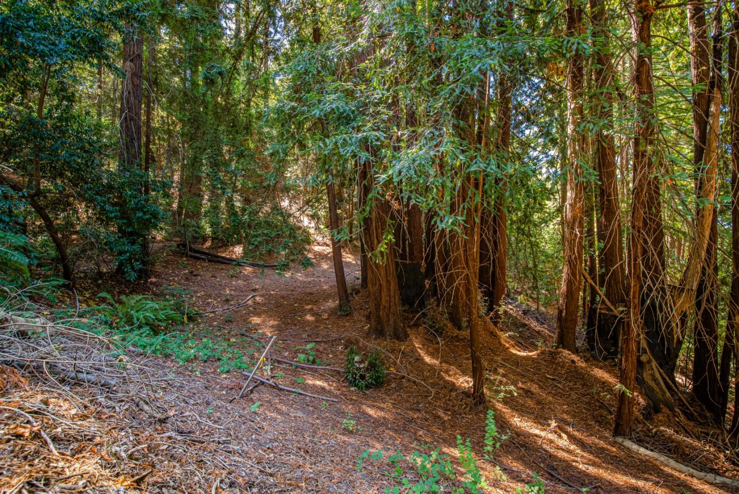 0 Main Boulevard, LOS GATOS, California 95033, ,Lots And Land,For Sale,Main Boulevard,40975862