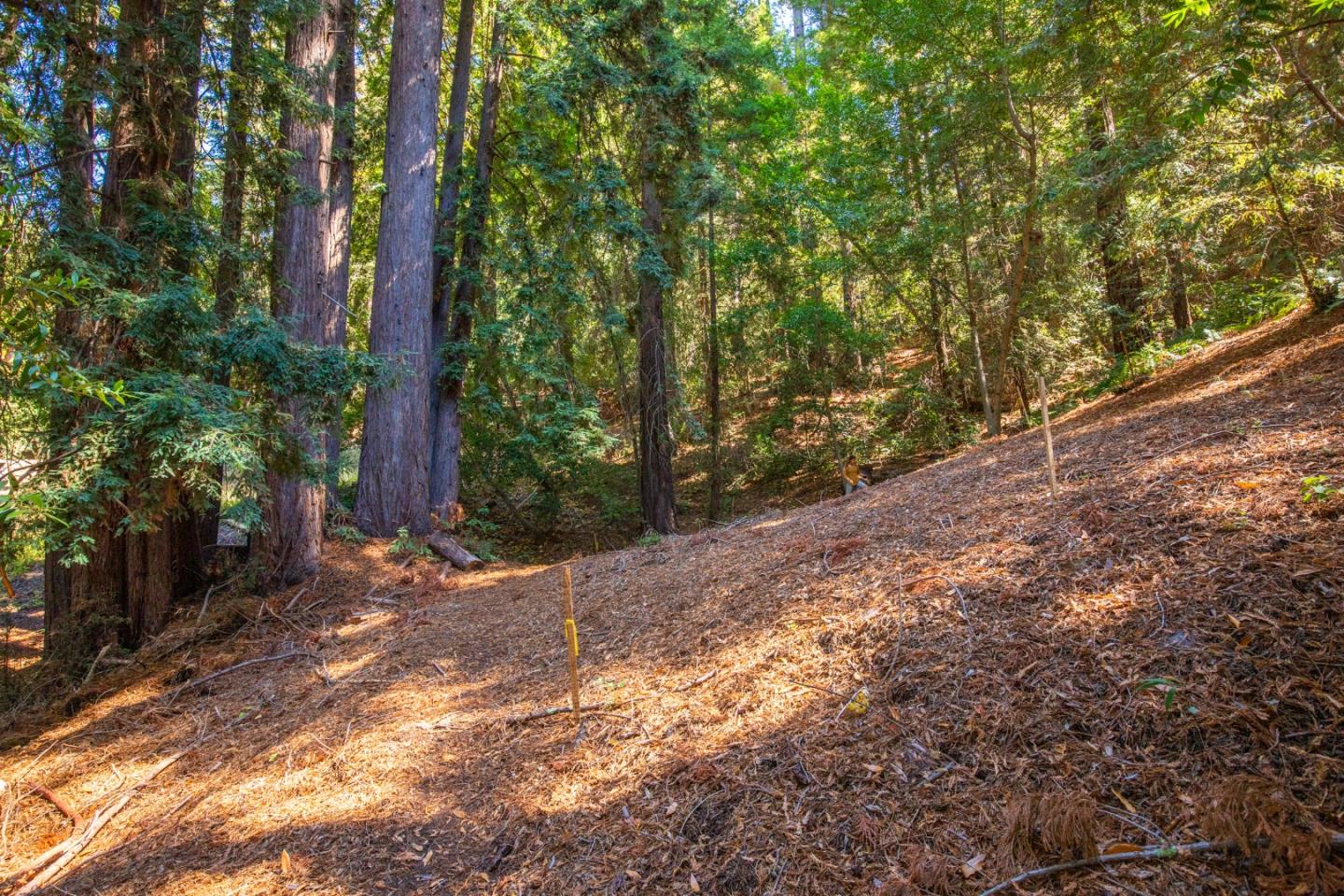 0 Main Boulevard, LOS GATOS, California 95033, ,Lots And Land,For Sale,Main Boulevard,40975862