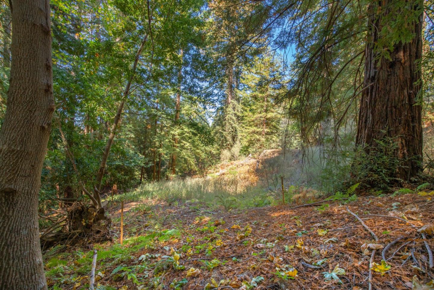 0 Main Boulevard, LOS GATOS, California 95033, ,Lots And Land,For Sale,Main Boulevard,40975862