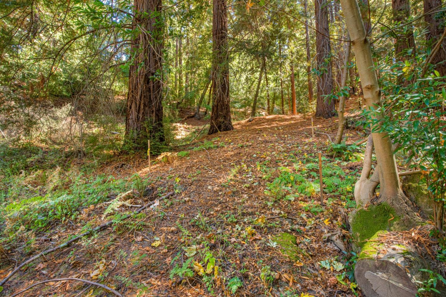 0 Main Boulevard, LOS GATOS, California 95033, ,Lots And Land,For Sale,Main Boulevard,40975862