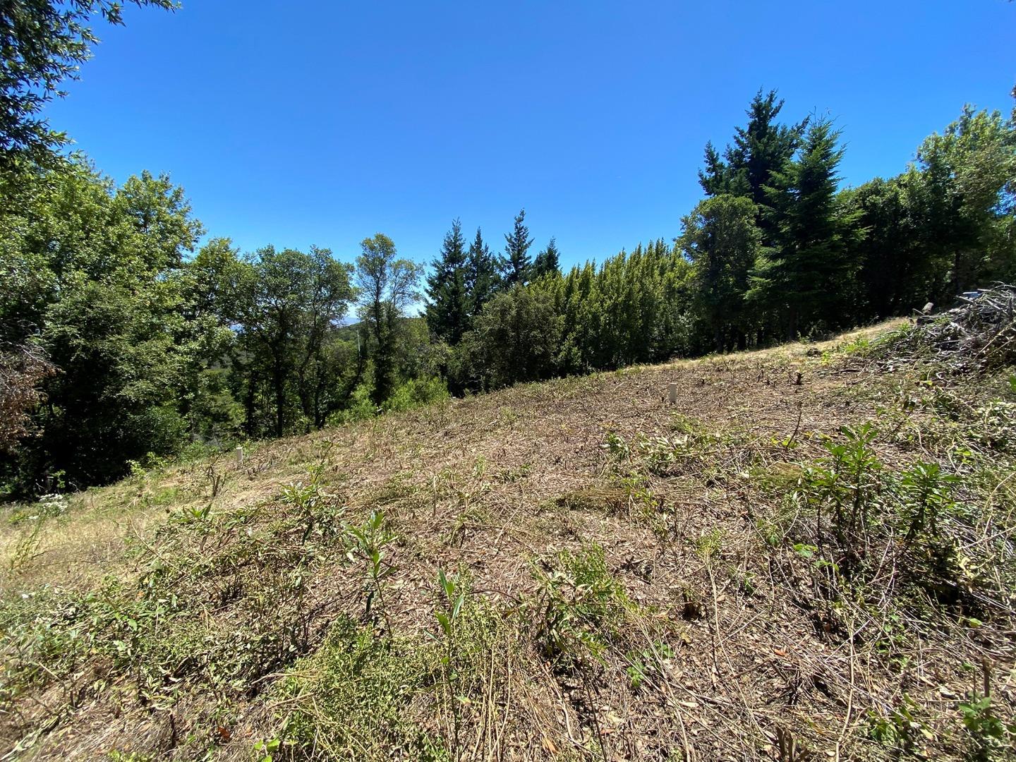 16968 Bohlman Road, SARATOGA, California 95070, ,Lots And Land,For Sale,Bohlman Road,40962034