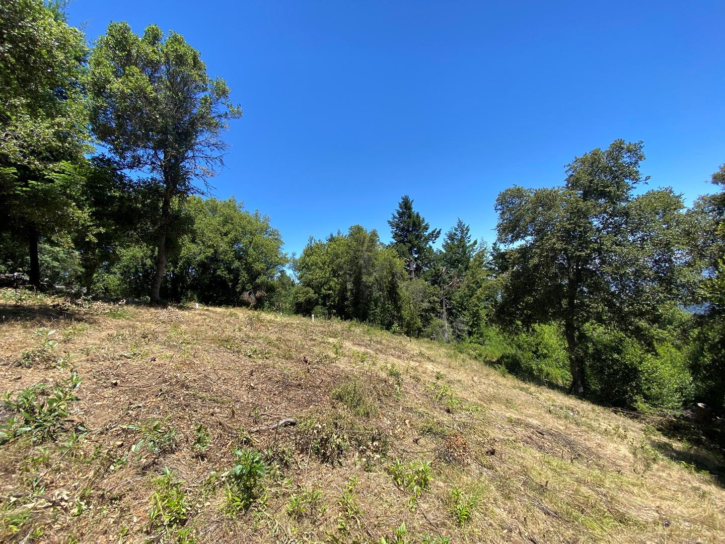 16968 Bohlman Road, SARATOGA, California 95070, ,Lots And Land,For Sale,Bohlman Road,40962034