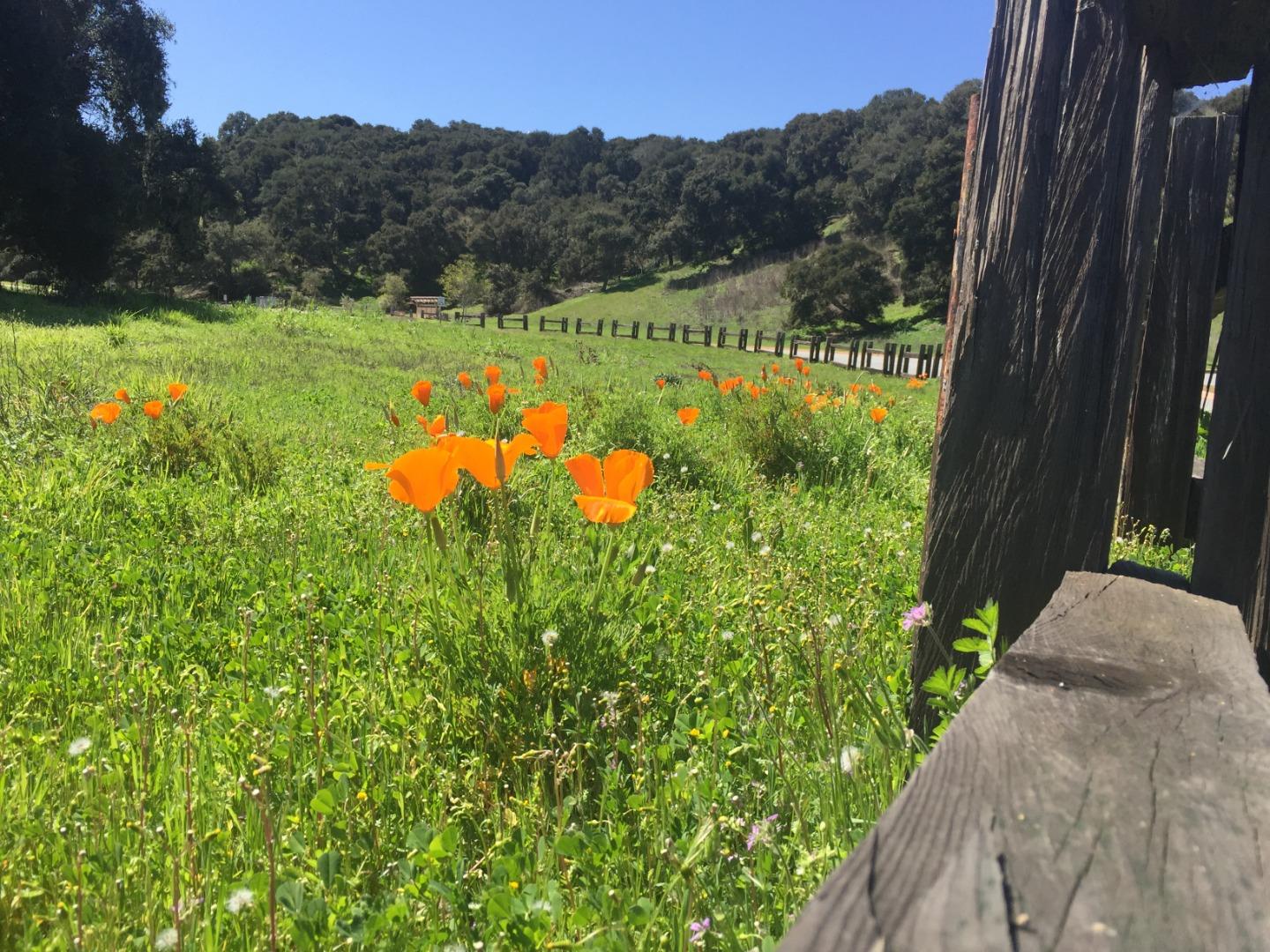 8315 Vista Monterra (Lot 147), MONTEREY, California 93940, ,Lots And Land,For Sale,Vista Monterra (Lot 147),40963760