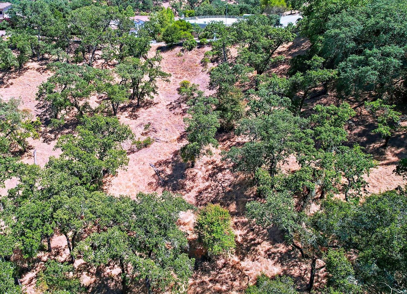 7413 Hoylake Court, GILROY, California 95020, ,Lots And Land,For Sale,Hoylake Court,40965081