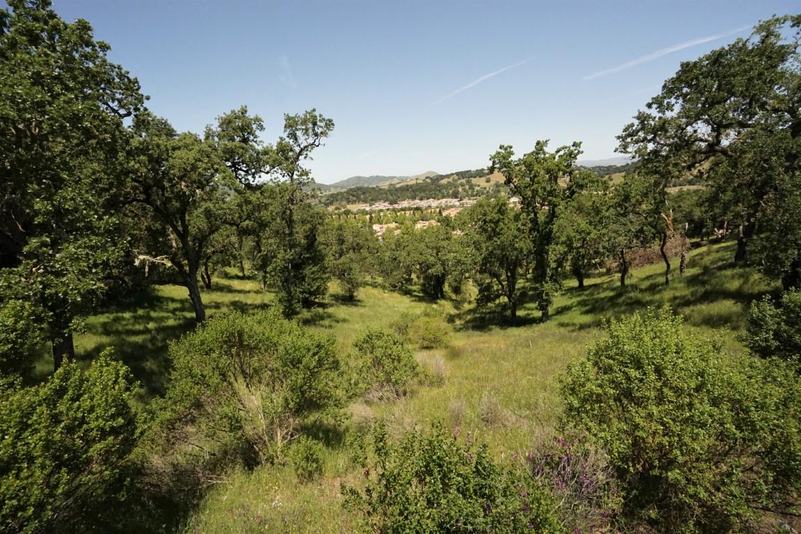 7413 Hoylake Court, GILROY, California 95020, ,Lots And Land,For Sale,Hoylake Court,40965081