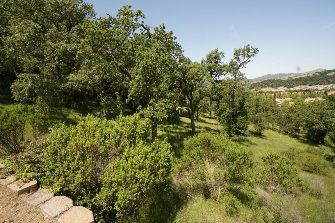 7413 Hoylake Court, GILROY, California 95020, ,Lots And Land,For Sale,Hoylake Court,40965081