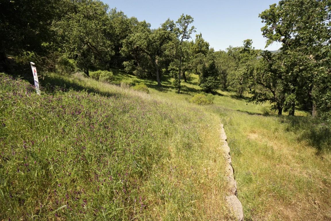 7413 Hoylake Court, GILROY, California 95020, ,Lots And Land,For Sale,Hoylake Court,40965081