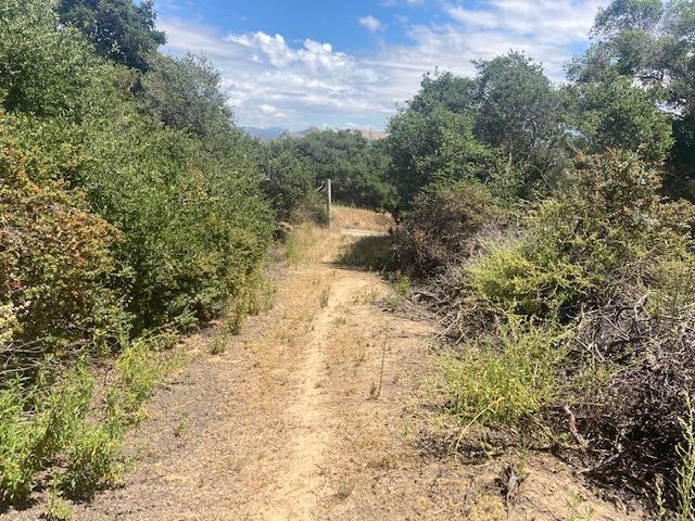 19555 Vierra Canyon Road, SALINAS, California 93907, ,Lots And Land,For Sale,Vierra Canyon Road,40963390