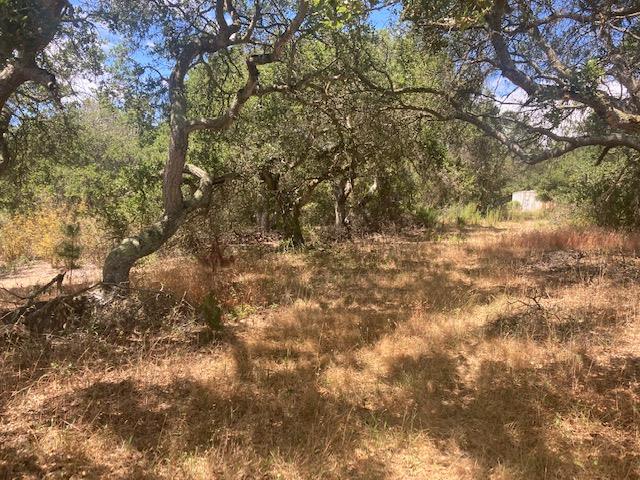 19555 Vierra Canyon Road, SALINAS, California 93907, ,Lots And Land,For Sale,Vierra Canyon Road,40963390