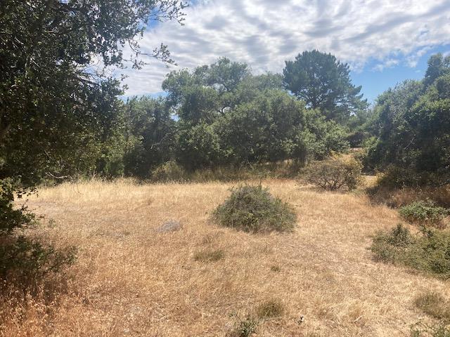 19555 Vierra Canyon Road, SALINAS, California 93907, ,Lots And Land,For Sale,Vierra Canyon Road,40963390