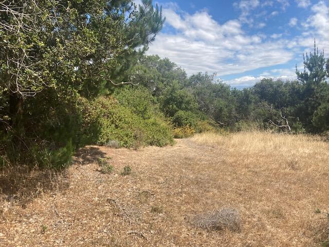 19555 Vierra Canyon Road, SALINAS, California 93907, ,Lots And Land,For Sale,Vierra Canyon Road,40963390