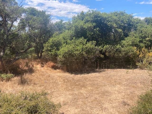 19555 Vierra Canyon Road, SALINAS, California 93907, ,Lots And Land,For Sale,Vierra Canyon Road,40963390