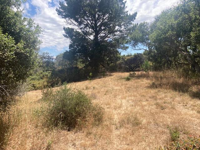 19555 Vierra Canyon Road, SALINAS, California 93907, ,Lots And Land,For Sale,Vierra Canyon Road,40963390