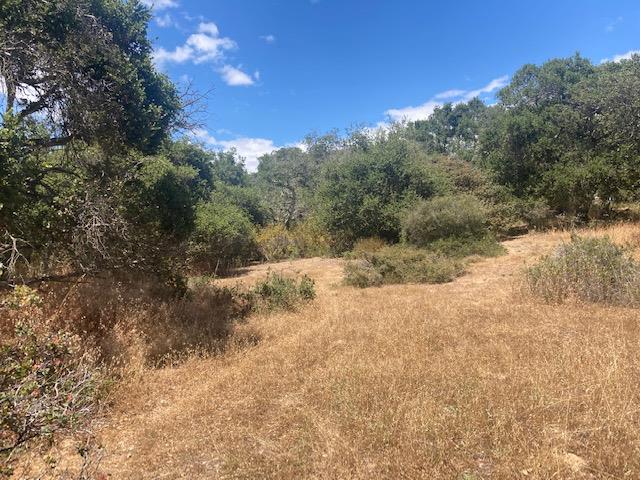 19555 Vierra Canyon Road, SALINAS, California 93907, ,Lots And Land,For Sale,Vierra Canyon Road,40963390