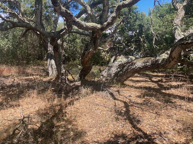 19555 Vierra Canyon Road, SALINAS, California 93907, ,Lots And Land,For Sale,Vierra Canyon Road,40963390