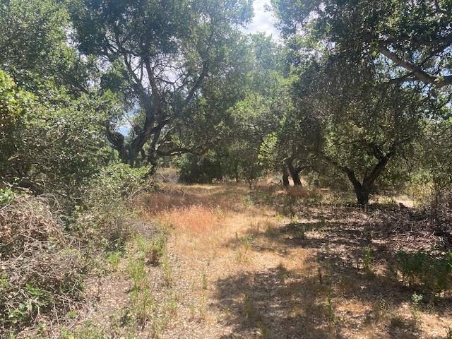 19555 Vierra Canyon Road, SALINAS, California 93907, ,Lots And Land,For Sale,Vierra Canyon Road,40963390