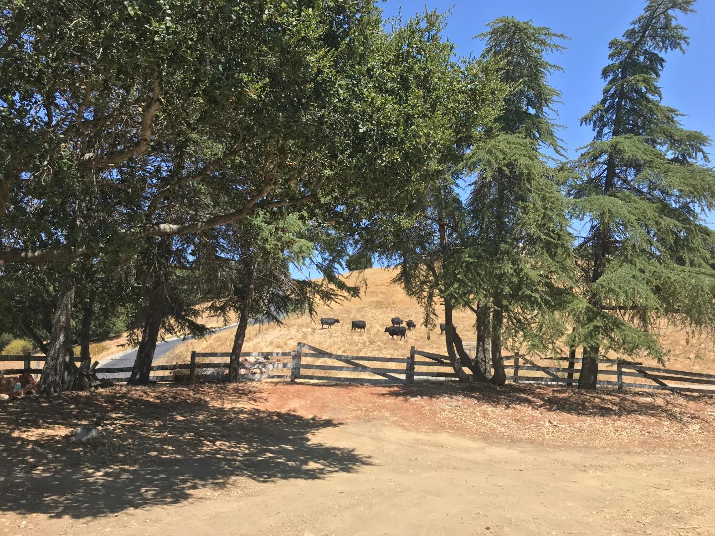 19997 Graystone, SAN JOSE, California 95120, ,Lots And Land,For Sale,Graystone,40961857