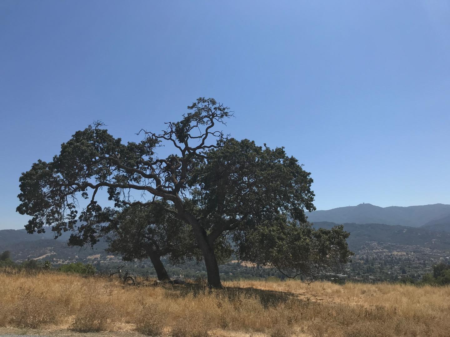 19997 Graystone, SAN JOSE, California 95120, ,Lots And Land,For Sale,Graystone,40961857