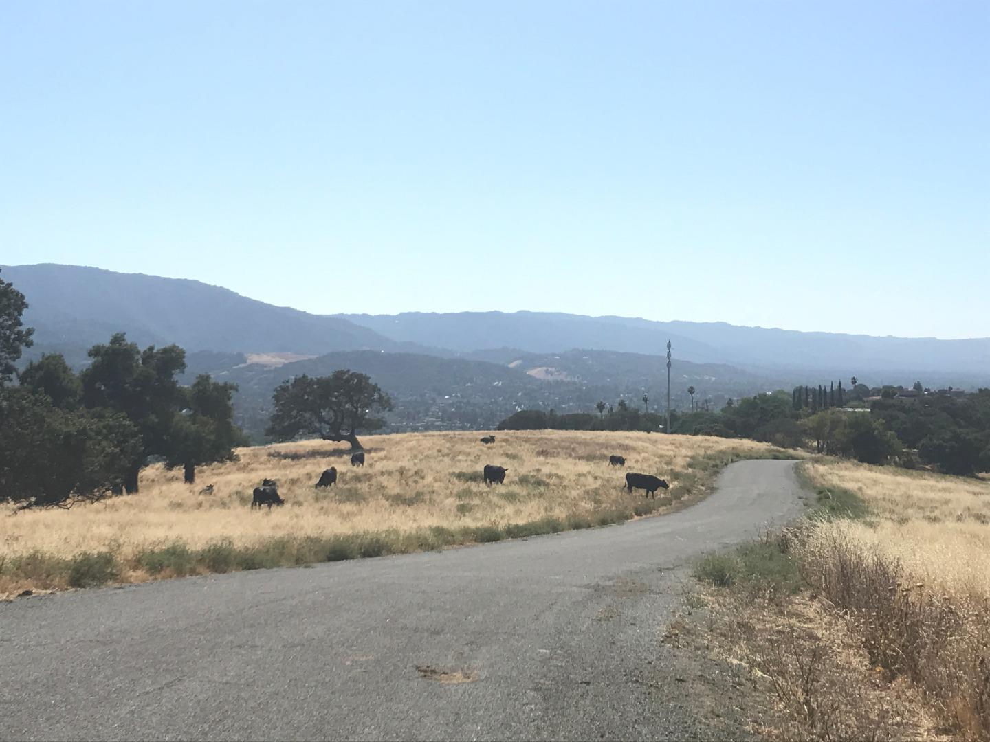 19997 Graystone, SAN JOSE, California 95120, ,Lots And Land,For Sale,Graystone,40961857