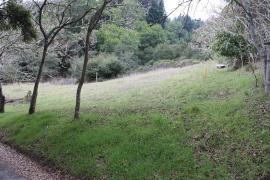 0 Branciforte Drive, SANTA CRUZ, California 95065, ,Lots And Land,For Sale,Branciforte Drive,40963468