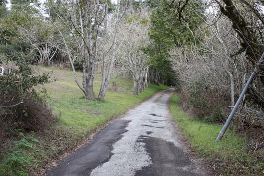 0 Branciforte Drive, SANTA CRUZ, California 95065, ,Lots And Land,For Sale,Branciforte Drive,40963468