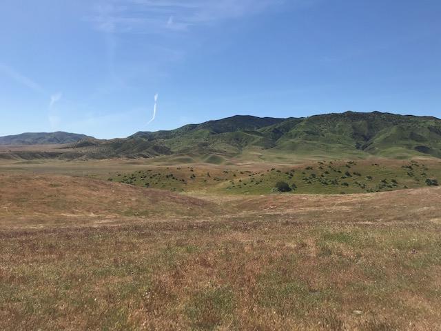 981 New Idria Road, PAICINES, California 95043, ,Lots And Land,For Sale,New Idria Road,40964461