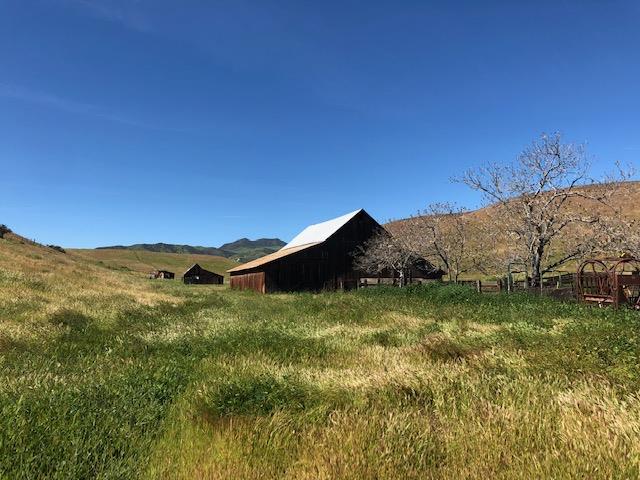 981 New Idria Road, PAICINES, California 95043, ,Lots And Land,For Sale,New Idria Road,40964461
