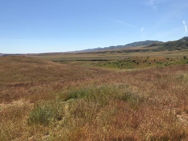 981 New Idria Road, PAICINES, California 95043, ,Lots And Land,For Sale,New Idria Road,40964461