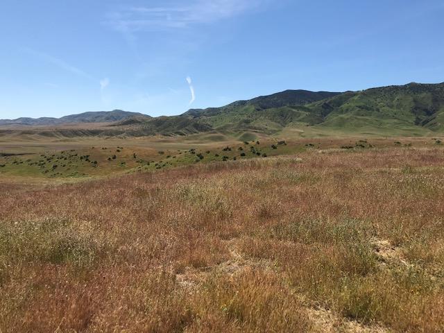 981 New Idria Road, PAICINES, California 95043, ,Lots And Land,For Sale,New Idria Road,40964461