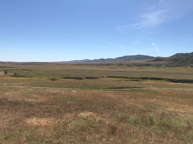 981 New Idria Road, PAICINES, California 95043, ,Lots And Land,For Sale,New Idria Road,40964461