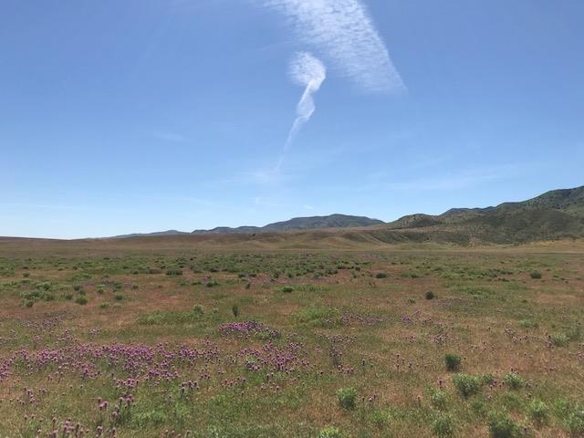 981 New Idria Road, PAICINES, California 95043, ,Lots And Land,For Sale,New Idria Road,40964461