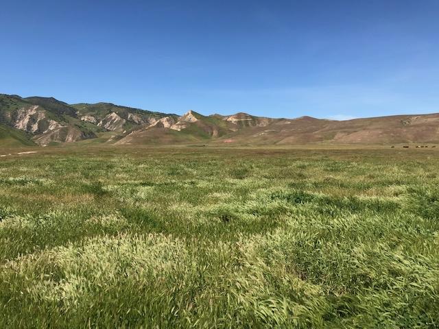 981 New Idria Road, PAICINES, California 95043, ,Lots And Land,For Sale,New Idria Road,40964461